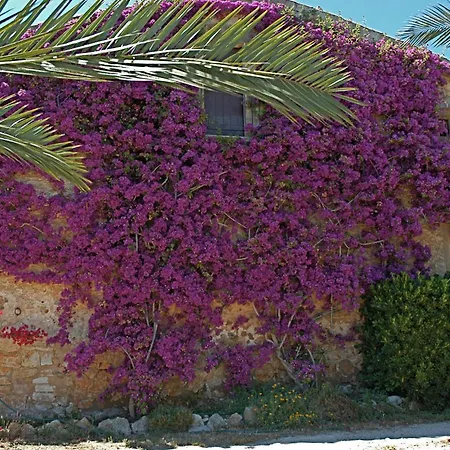 Lovely In * Porreres