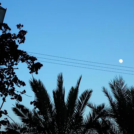 Lovely In *